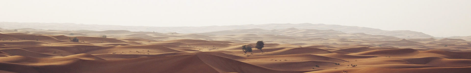 ػ˿Ƽݣ޹˾